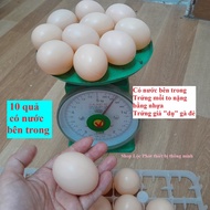 Combo of 10 eggs (With water inside) Fake eggs for laying chickens (Gy eggs)