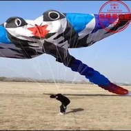 30米鰩魚風箏 大型軟體風箏 領航風箏30d傘布 風箏展會 主題公園