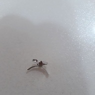 Proton Exora Contact Battery Besi (1unit)