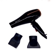 AIG Hair Dryer Gemei GM-1780