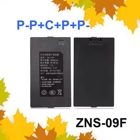 ZNS-09F ZNS-09F1 4200mAh~6000mAh Efficient P-P+C+P+P- Smart Door Lock Battery