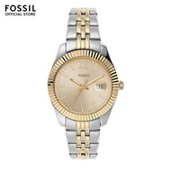 Fossil Women's Scarlette Mini Analog Watch ( ES4949 ) - Quartz, Silver Case, Round Dial, 16 MM Two Tone Stainless Steel Band