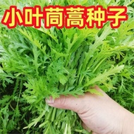 Artemisia Seeds Four Seasons Seeds Green Vegetables Vegetables Vegetables Seeds Artemisia Seeds Empe