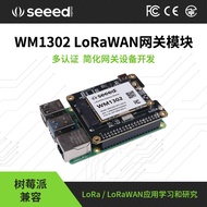 Lorawan Gateway lora Communication Module WM1302 Wireless Node US915/EU868 Raspberry Pie Expansion B