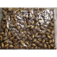 1 Pound Wooden Barrel Beads