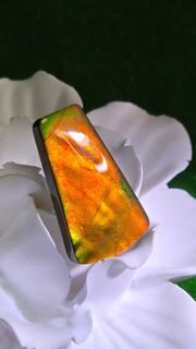 加拿大斑彩Ammolite