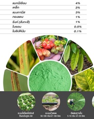 ปุ๋ย ธาตุรอง จุลธาตุรวม MIX EDTA (ชนิดผง) (แบ่งขาย) ดวงตะวันเพชร