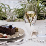 【RONA】斯洛伐克 SWAN 天鵝系列-香檳杯 320ml