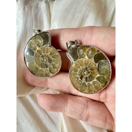 Ammonite pair Pendant 斑彩螺吊坠一对