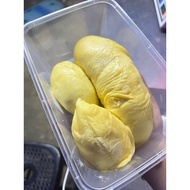PAHANG XO Durian D24  (𝗝𝗕 𝗗𝗘𝗟𝗜𝗩𝗘𝗥 𝗦𝗔𝗠𝗘 𝗗𝗔𝗬  ）