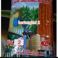 benih jagung hibrida bisi 2 super