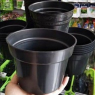 PLASTIC POT 17 CM FLOWER POT/ POT NANAM CHILI POT