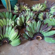 pisang kepok mentah