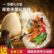 Taiwan Excavation Dinosaur Egg Archaeological Fossil Toys Mystery Box