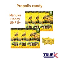 Manuka honey candy 60 candies/propolis candy/logenzes/manuka honey umf 5+/sore throat candy/immune s