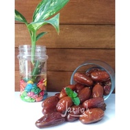 Tunisian Honey Dates