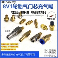 M8/M10 Threaded Nozzle Container Air Storage Tank Nozzle Car Tire Expansion Water Tank Nozzle 8V1 No