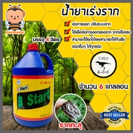 น้ำยาเร่งราก ทีเร็กซ์ (B-Start) ขนาด 4 ลิตร มีให้เลือก 1-6 ขวด บีวัน-สตาร์ท เร่งโต สารเร่งราก รากเย