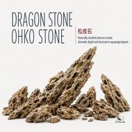 Aquascaping Ohko Dragon Stone Rock ALVEOLATE ROCK (水草造景松皮石虎皮石)