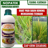 Obat Padi Daun Kuning Menguning Terbaik - Pupuk Organik Fungisida Hayati Anti Kerdil Kuning Daun Padi - Obat Semprot Hama Padi Daun Kuning - Obat Hama Tanaman Daun Padi Merah - Obat Hama Padi Sawah Kupu Kupu - Obat Padi Sawah Mati Pucuk Terbaik