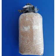 Warisan instant oyster mushroom seedarisan instant oyster mushroom seed