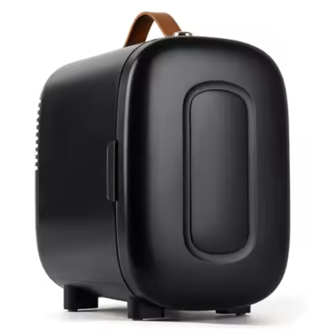 Mini Fridge for Bedroom 4 Liter/6 Cans Skincare Small Refrigerator AC/DC Portable Mini Cooler Warmer