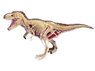 4D Vision หุ่นจำลองไดโนเสาร์ T-Rex 4 มิติ