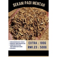 SEKAM PADI MENTAH / SEKAM PADI / SEKAM HAIWAN / SEKAM TANAMAN / EXTRA 100G /