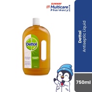 Dettol Antiseptic Liquid (750ml)