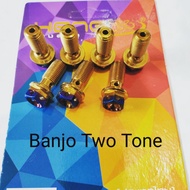 Heng Bolt Banjo Bolt Two Tone
