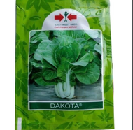 Benih Sawi Dakota