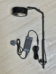 尼特利白蘭水草燈