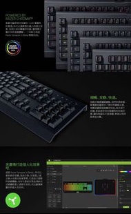 Razer Cynosa Lite 薩諾狼蛛 電競鍵盤/有線/防鬼鍵/防潑水/中文/單色發光可調色