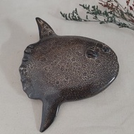 曼波大陶魚