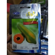 👨🏻‍🌾👩‍🌾🍅🌽🥒🥦 QUALITY Thai seed biji benih betik , papaya (10 -+ seed