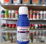 PEGASUS 80ML / PEGASUS 500SC 80ML / INSEKTISIDA PEGASUS PENGENDALI HAMA TANAMAN / PEGASUS / INSEKTIS