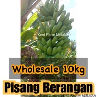 🇲🇾Ready Stock🇲🇾Wholesale 10kg Pisang Berangan / Banana Berangan / 批发红肉蕉 / 批發紅肉蕉 🍌