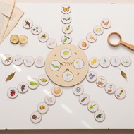 Mamimamihome Montessori Life Cycle Board Cycle Inference Sensory Games Insect Butterfly Model Scientific Cognitive Toys