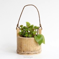 Bamboo plant pots