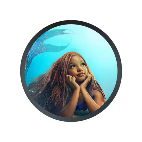 23.6 Inch Circular LCD Screen High Brightness 1500 Cd/M2 Round LCD Panel for Shopping Mall Coffee Sh