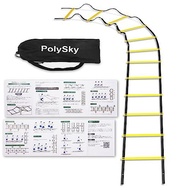 [Domestic Warranty] Training Ladder PolySky Ladder for Training Baseball Soccer 3m 4m 6m 9m 10m with
