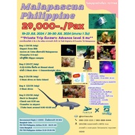 Package Scuba diving trip at Malapuscua Philippines See 10 Long-Tailed Sharks 19-23 Jul 2024