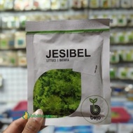 Ready || Benih Bejo Bibit Selada Jesibel Pack 1000 Biji Pills