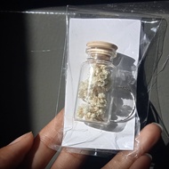 1pcs Gantungan kunci botol isi bunga kering edelweis / keychain bottle/ souvenir bunga kering aesthe