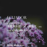 Quality Formula Coffee Beans Yellow Geisha Yellow Geisha Washed