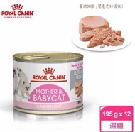 Royal Canin 法國皇家幼貓糧罐頭 195克x12罐*