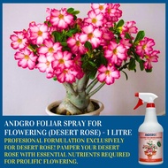 ANDGRO Foliar Spray for Flowering - Desert Rose (1000ml) Encourages Larger, Brighter Flowers and Vig