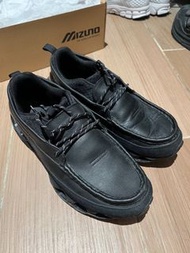 Mizuno wave prophecy moc