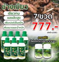 ช้างเขียว เร่งการเจริญเติบโต เร่งราก ใบใหญ่ ใบเขียว 7 ขวด 777.- (แถมจีฟอร์ซวัน100cc 2 ขวด)
