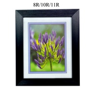 Wood Photo Frame Size 8R/10R/11R